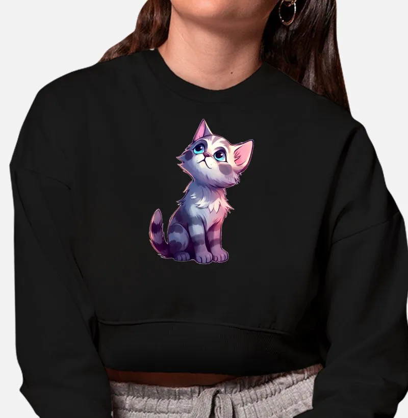 Gato