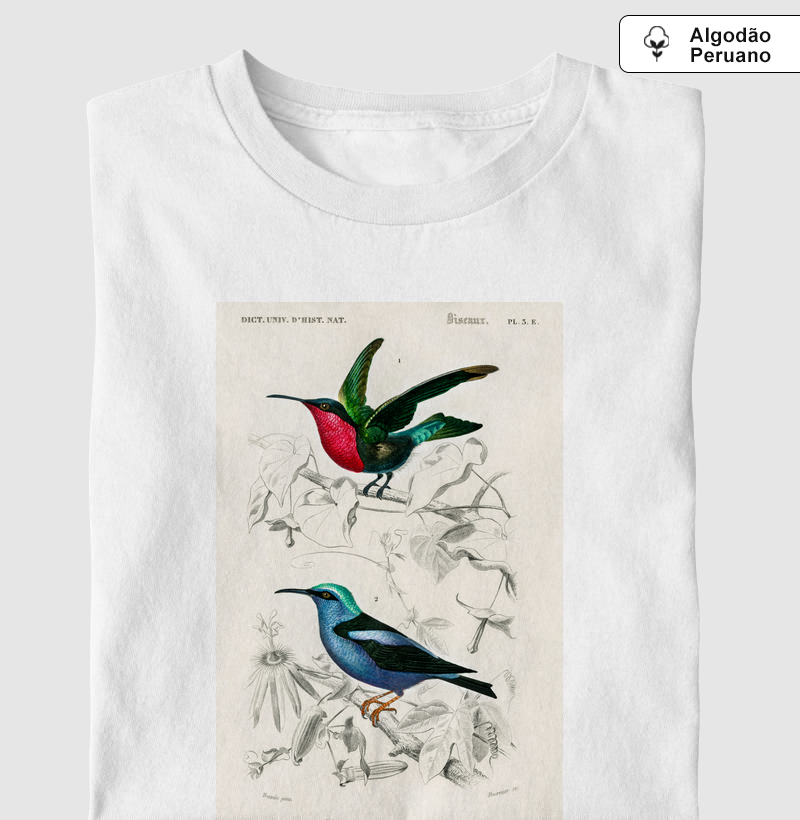 Colibri e Saíra-beija-flor