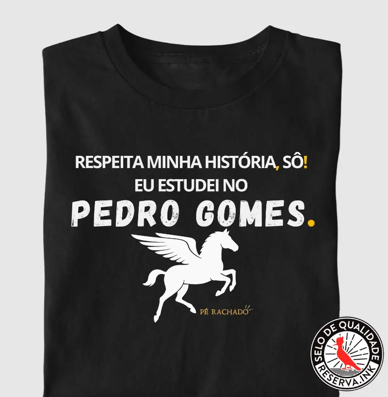 Estudei no Pedro Gomes