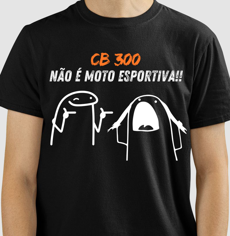 CB 300 
