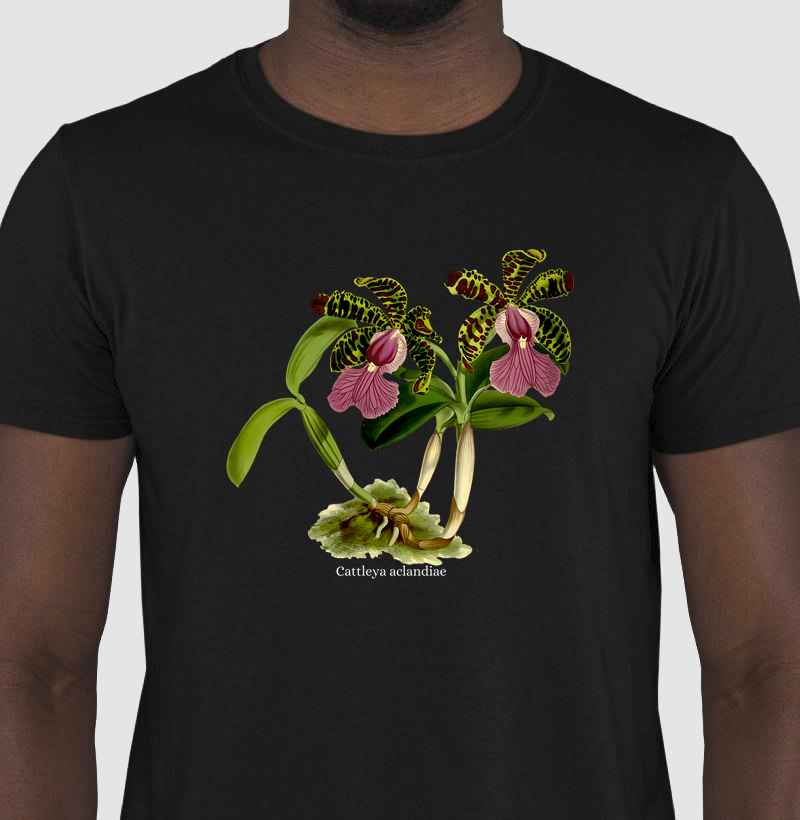 Camiseta Cattleya aclandiae t-shirt