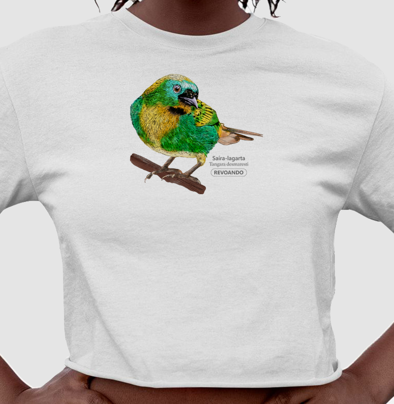 Aves do Brasil - Saíra-lagarta - Cropped