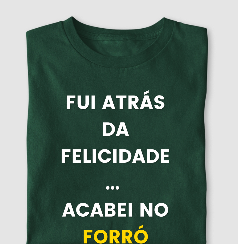 Fui atrás da Felicidade Acabei no Forró