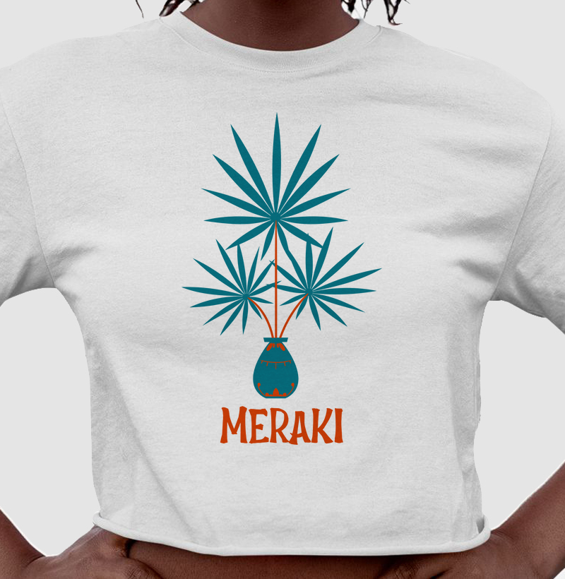 Meraki