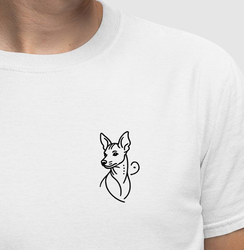 Pinscher - Linhas