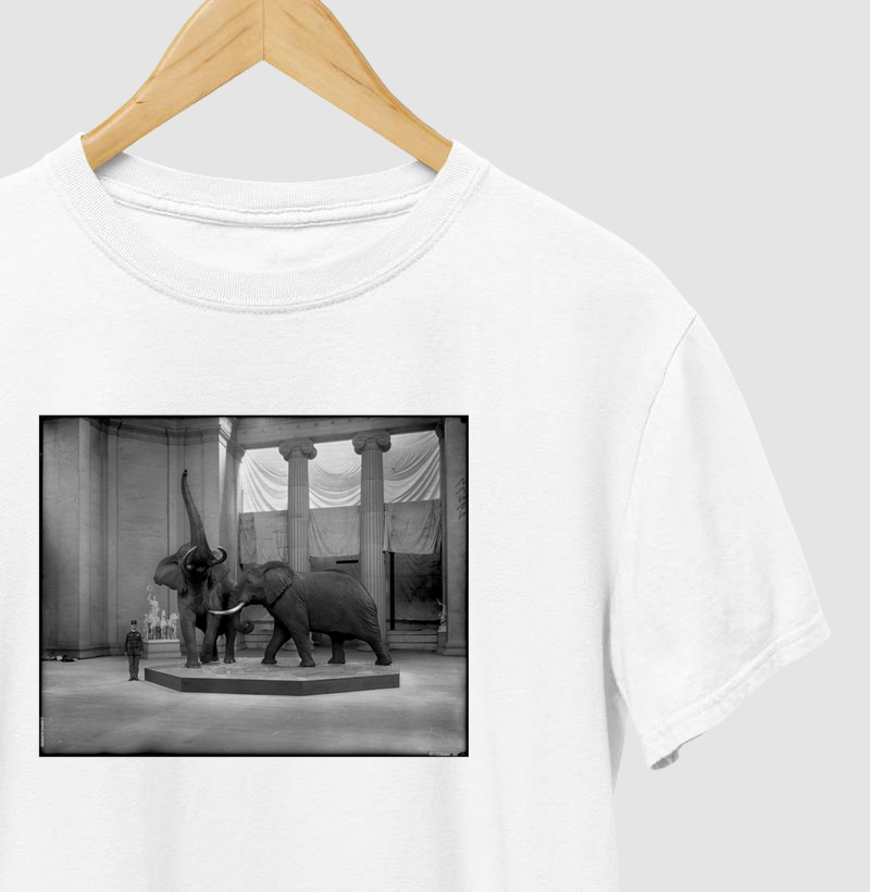 Field Columbian Museum II (1894–1920)