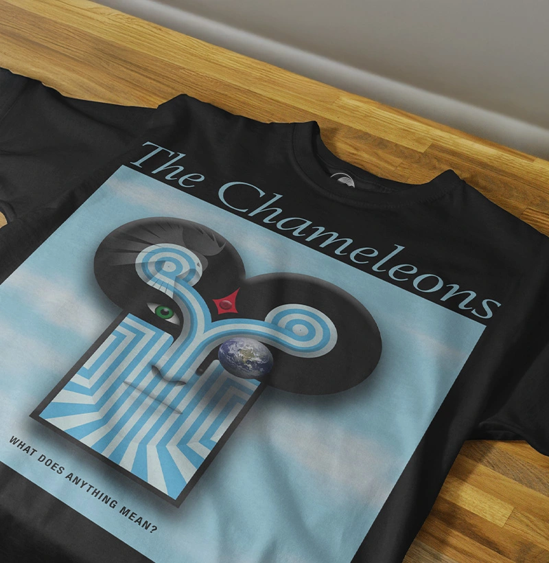 The Chameleons - What Does Anything Mean?