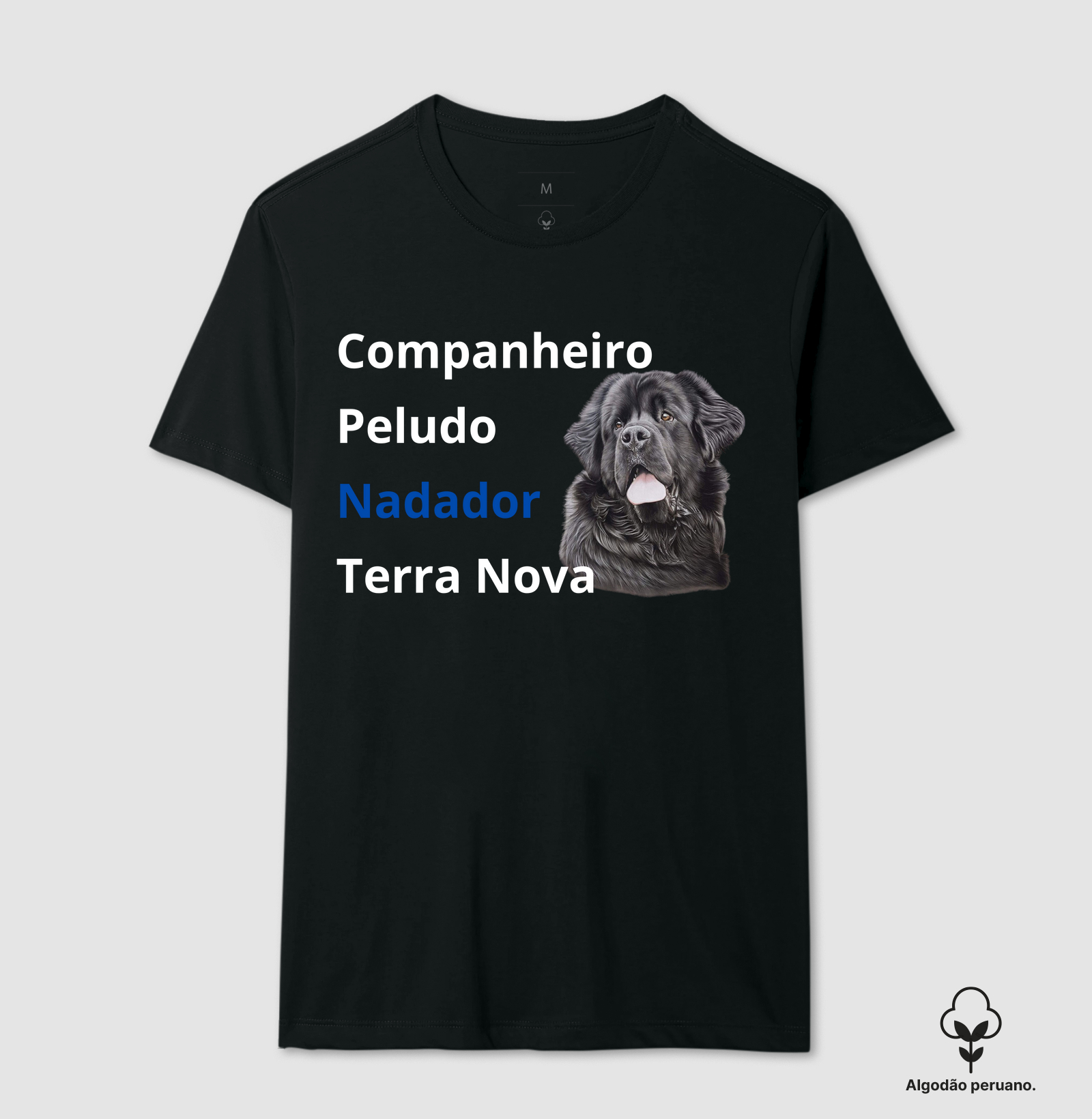 Terra Nova