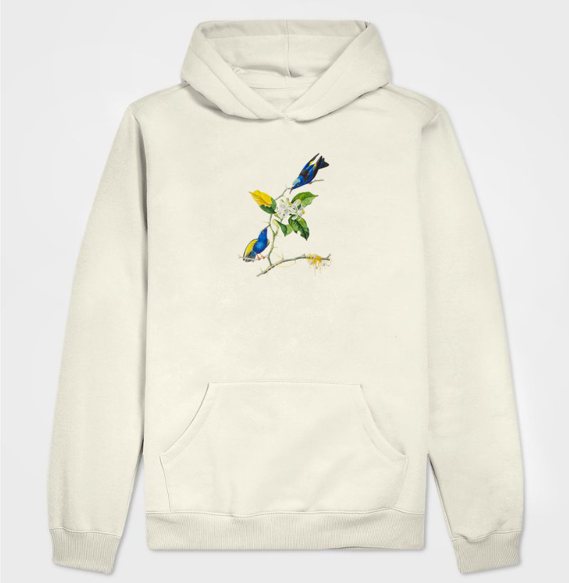 Saíra-beija-flor