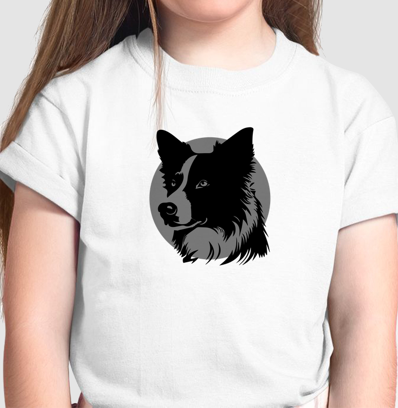 Border Collie fundo cinza