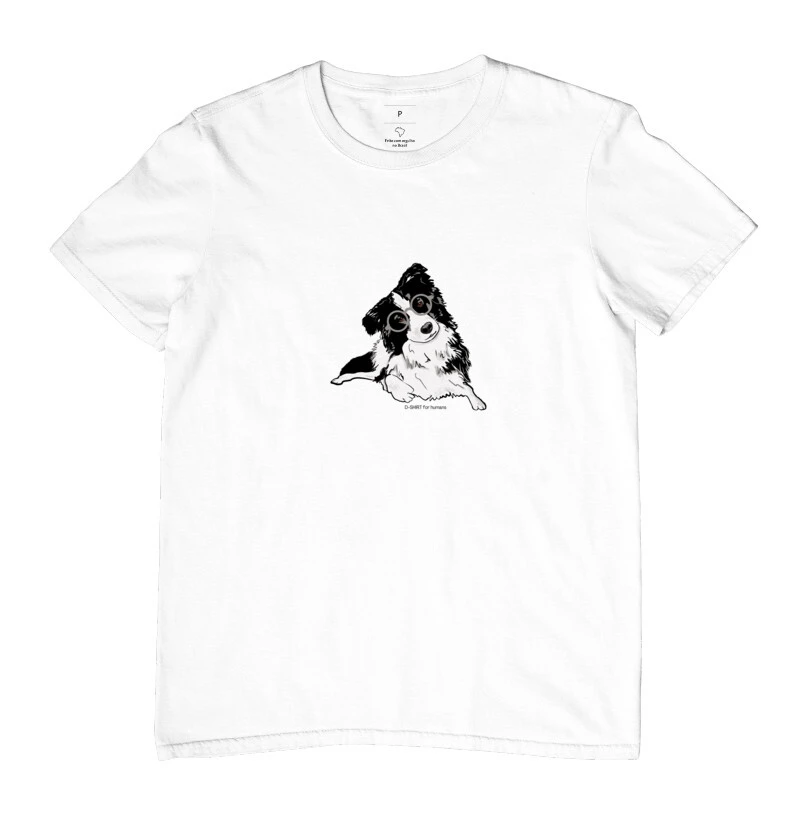 smart border collie