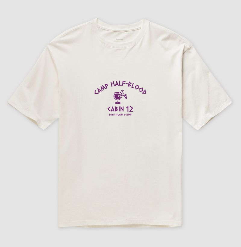 Camiseta oversized chalé 12