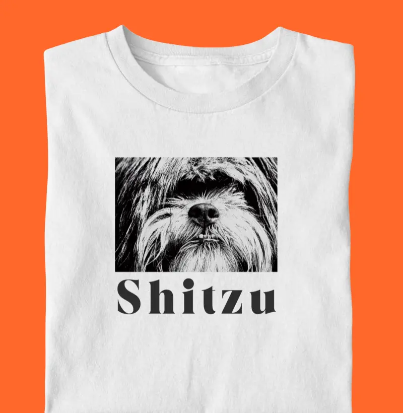 Shitzu
