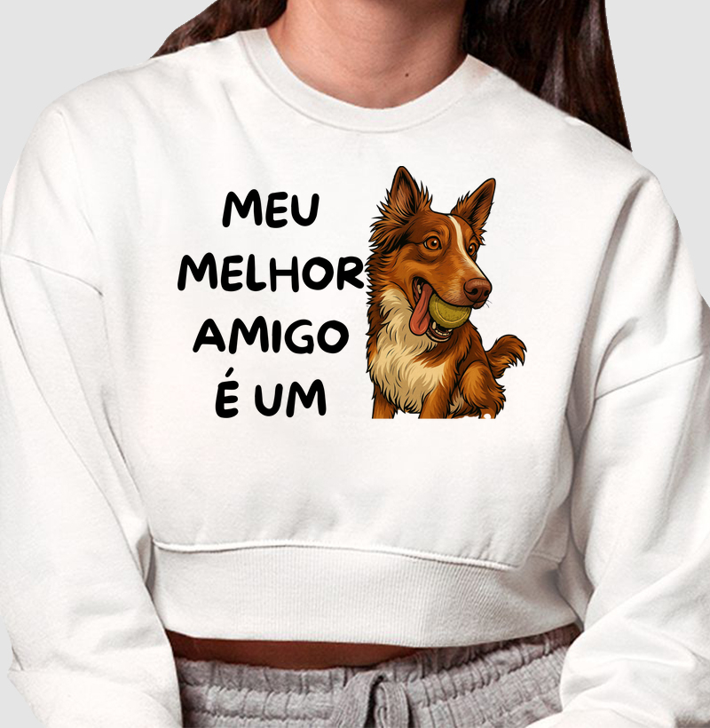 Meu melhor amigo é um border collie