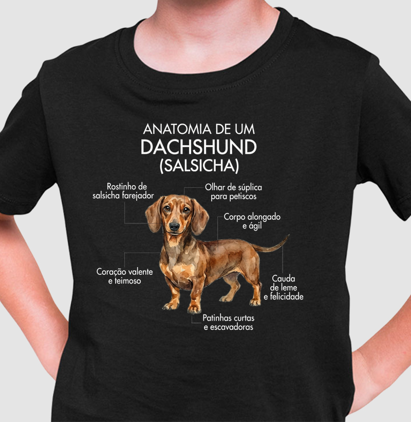 Anatomia Dachshund
