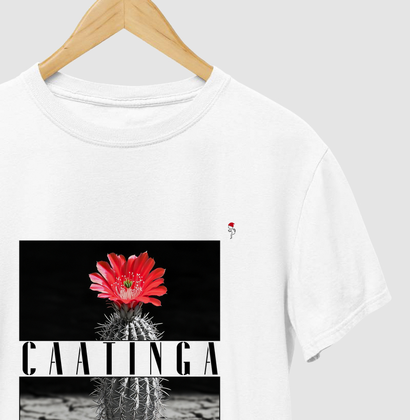 Caatinga 