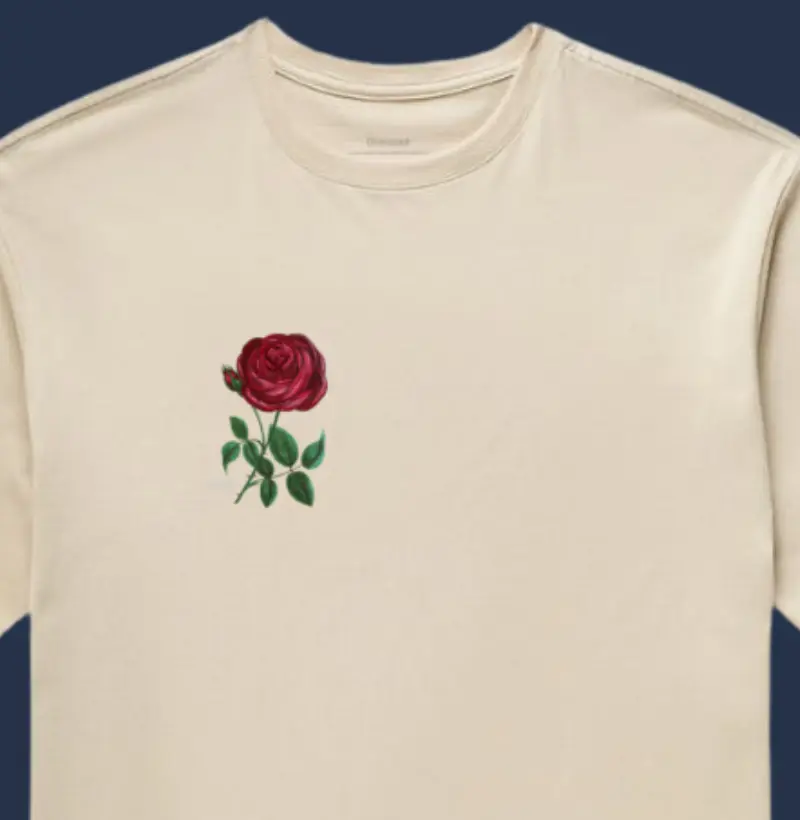 Rosa de Santa Terezinha