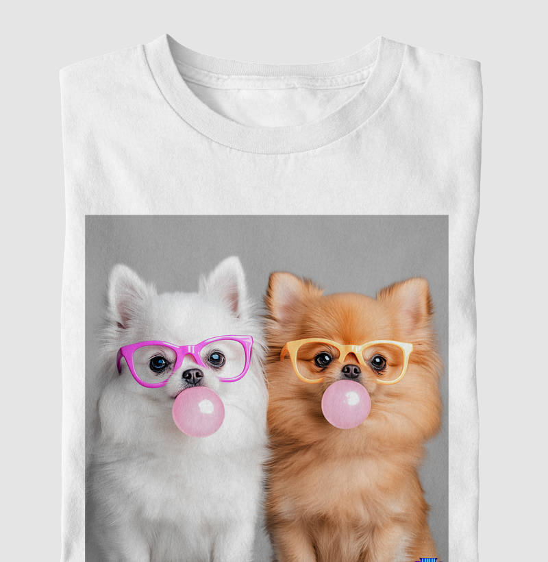 Dupla de Dois Chiclete