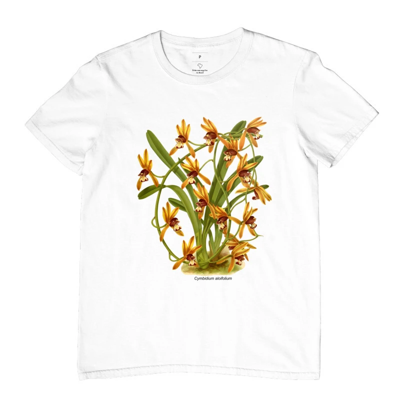 Cymbidium aloifolium