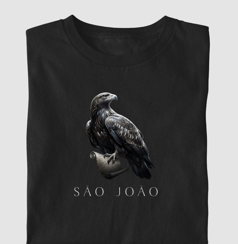 São João Evangelista (A Águia)