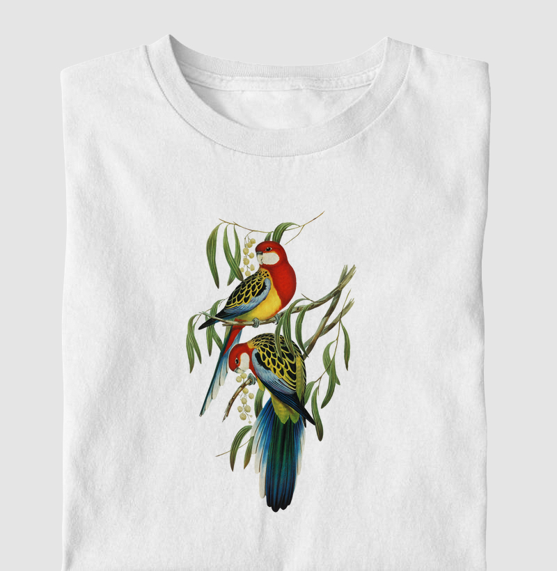 Rose-hill Parakeet