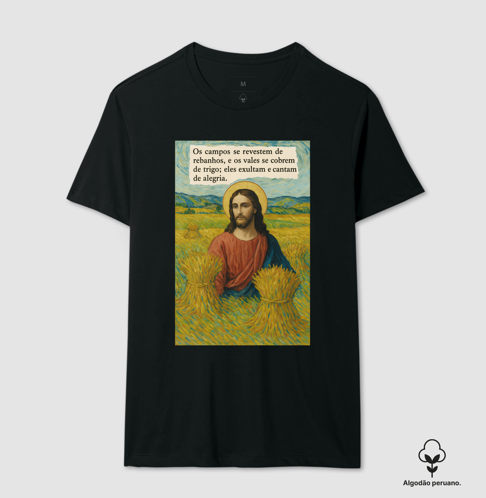 Campos de Trigo