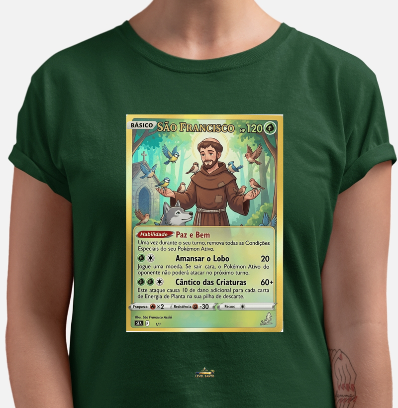 São Francisco de Assis - TCG