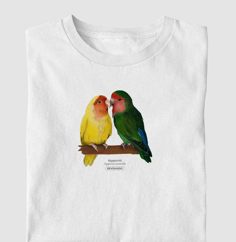Love Friends - Agapornis roseicollis - Infantil