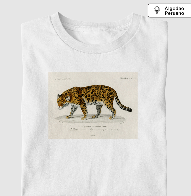 Onça-Pintada