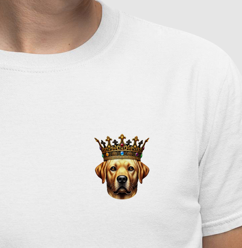 Labrador - CrownDogs