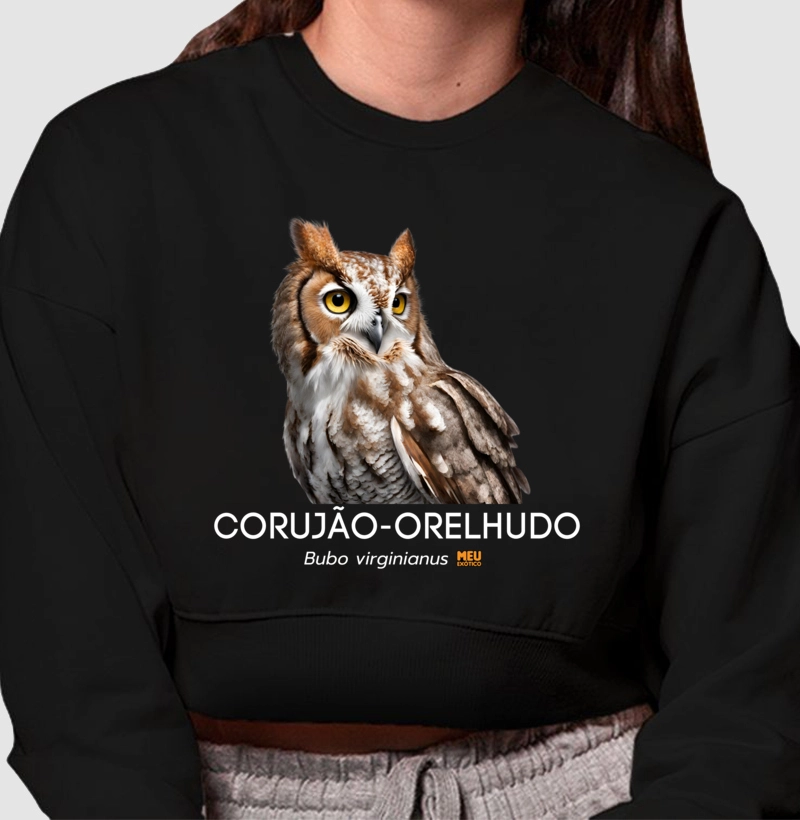 Corujão-orelhudo