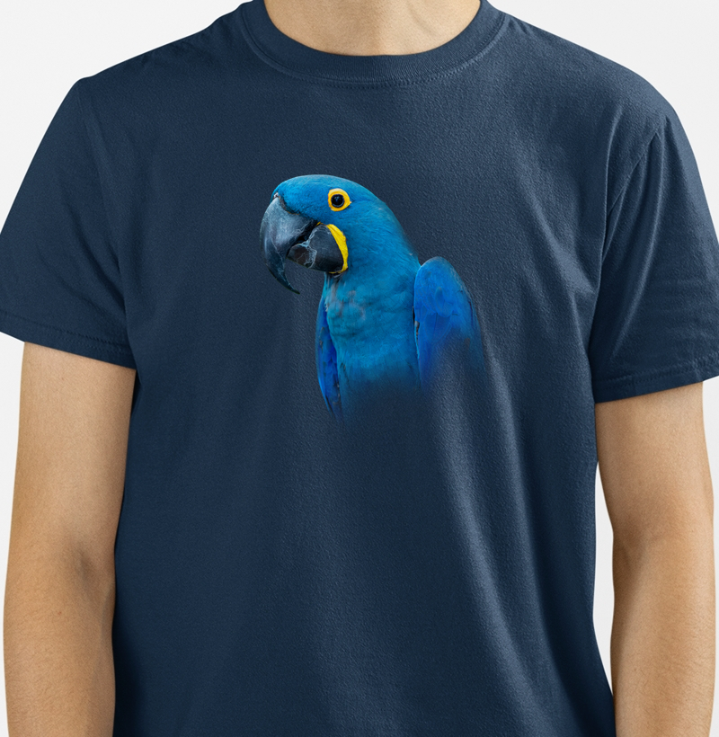 Papagaio Azul