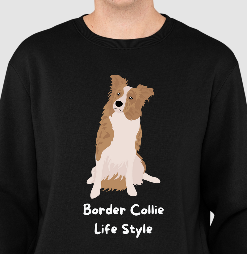 Border collie life style