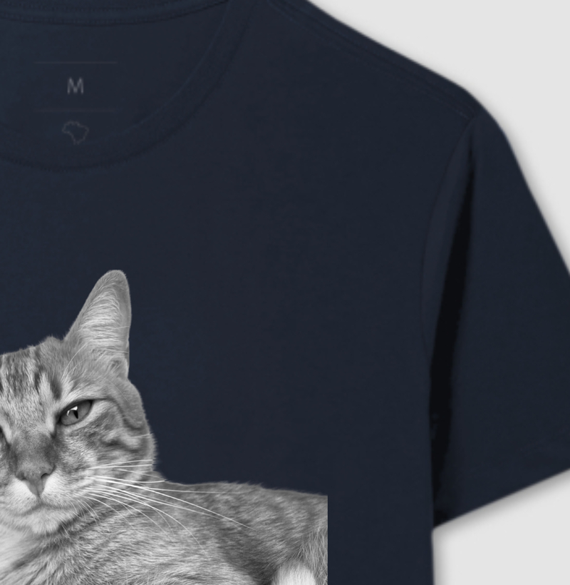 CATBERNET