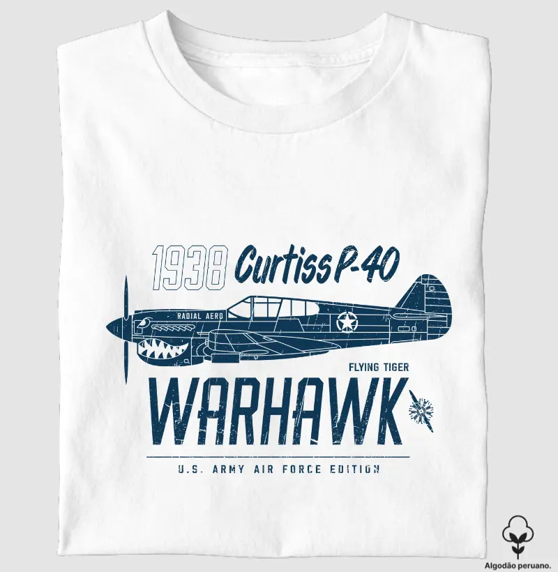Curtiss P40 Premium