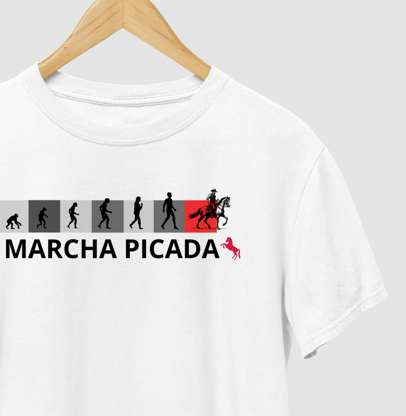 CAMISA EVOLUÇÃO HUMANA PICADA
