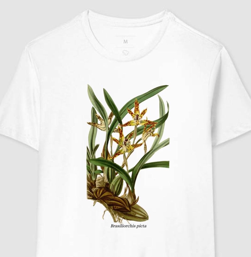 Camiseta Brasiliorchis picta t-shirt