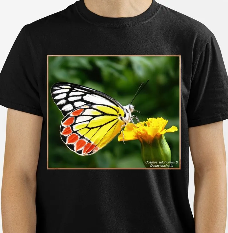 Camiseta Cosmos sulphureus & Delias eucharis