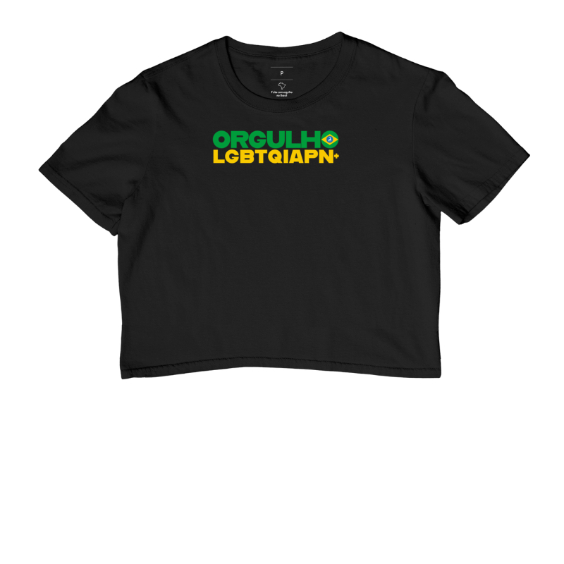Orgulho LGBTQIAPN+ Brasil 1
