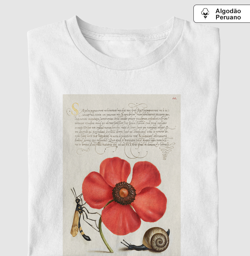 Terrestrial Mollusk, Poppy Anemone, and Crane Fly