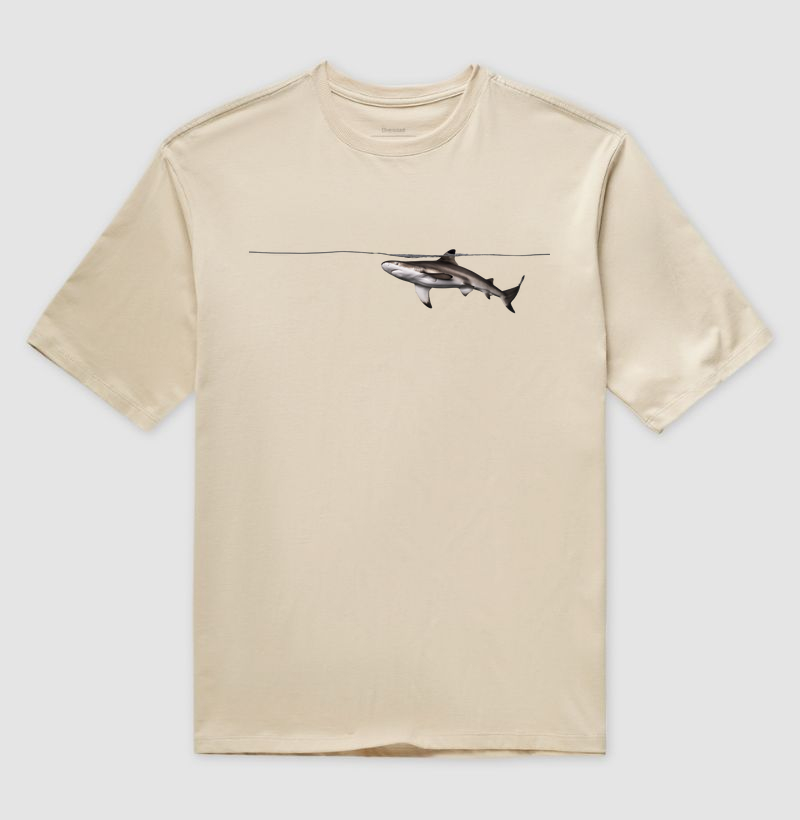 Shark Surface