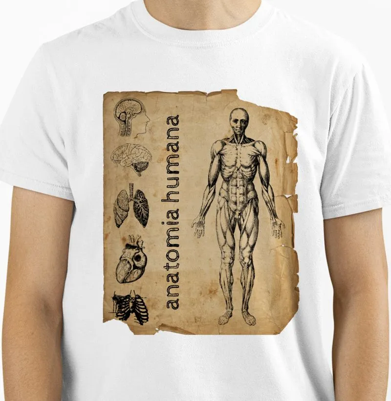ANATOMIA