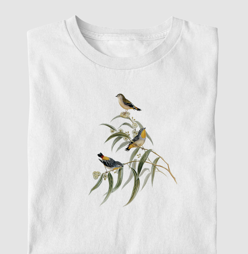 Yellow-rumped Pardalote