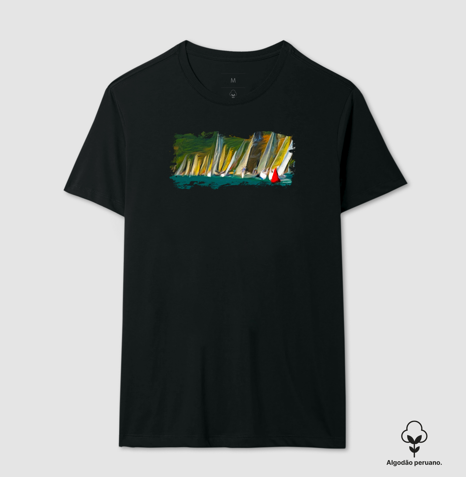 PINTURA REGATA