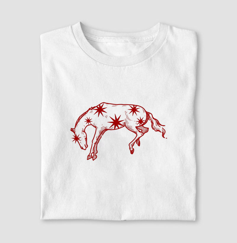 Love Texas shirt 
