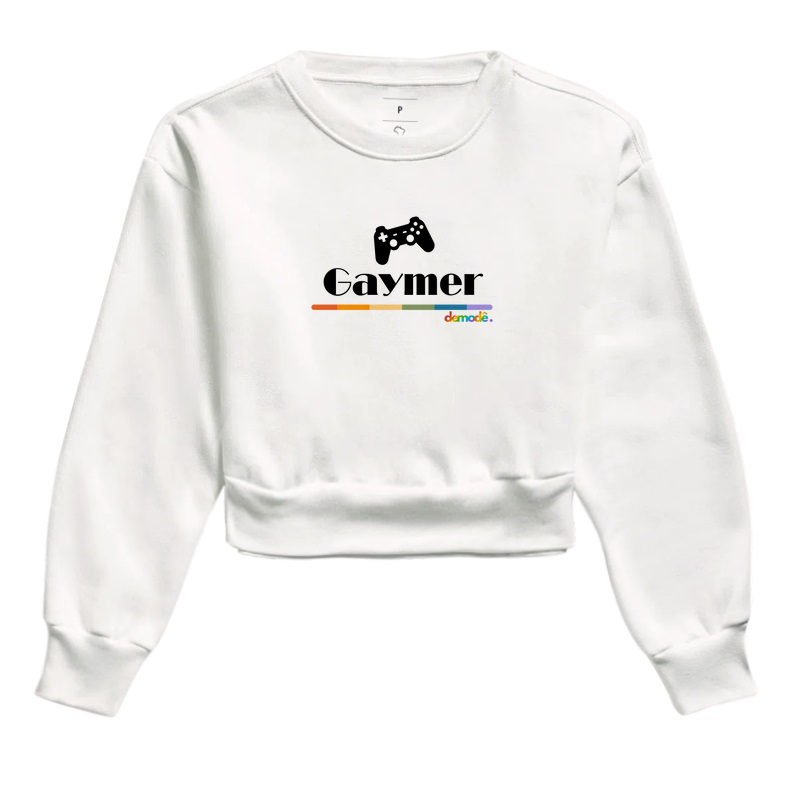 🎮🌈Gaymer
