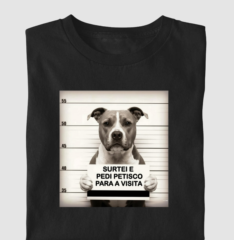 SURTEI E PEDI PETISCO PARA A VISITA