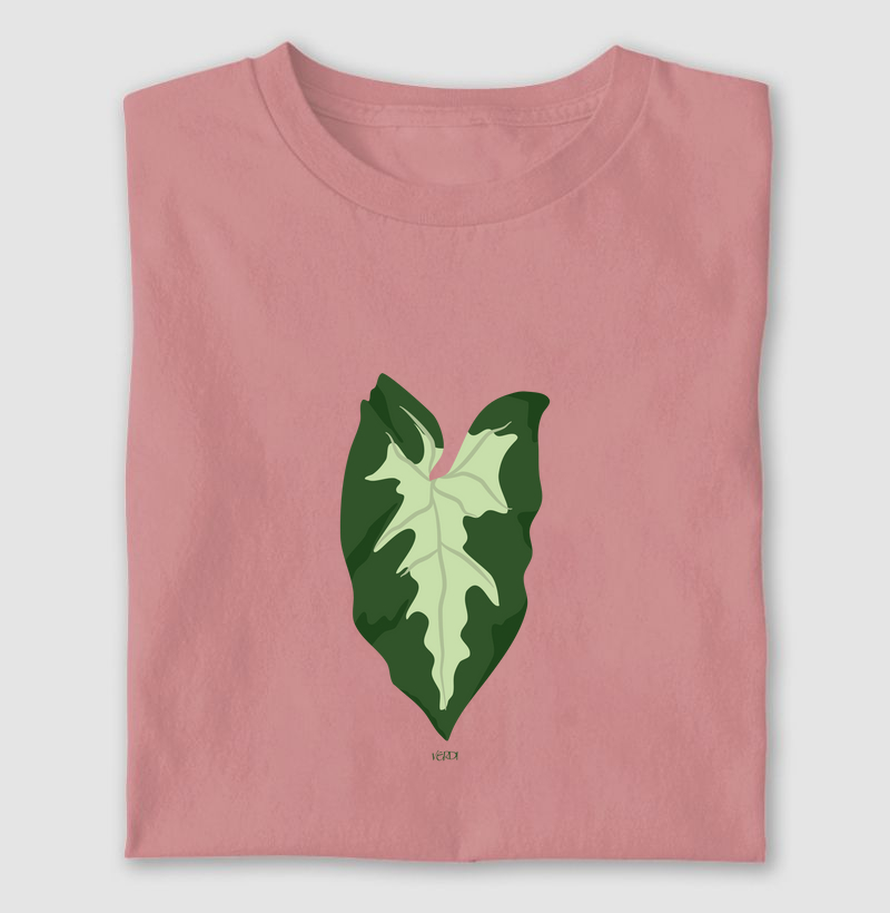 Folha de caladium verde
