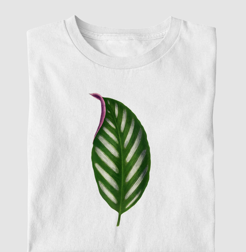 Maranta Porteana