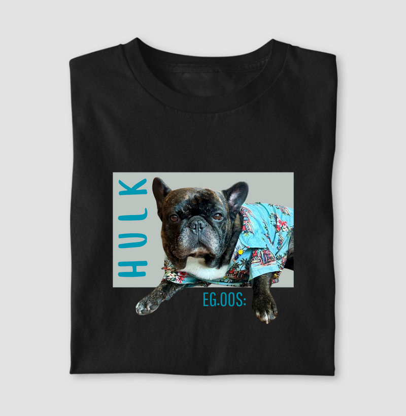 Meus Pets: Hulk